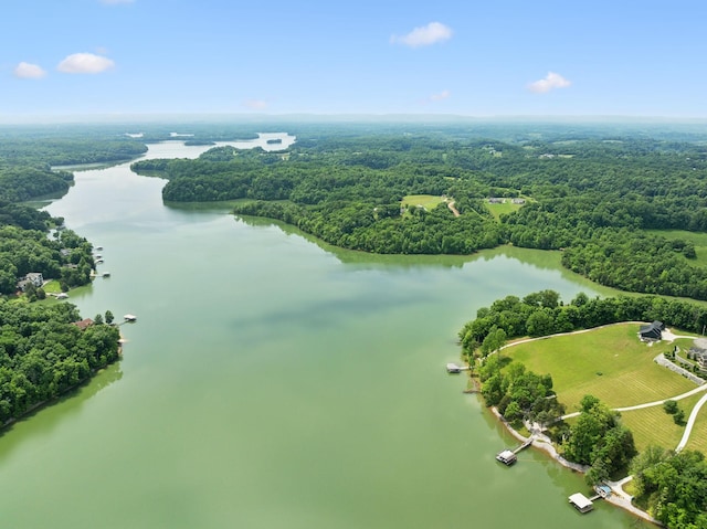 337 Lake Court Dr, Lynchburg, TN 37352 - aerial view of a heavily wooded area and a nearby body of water
