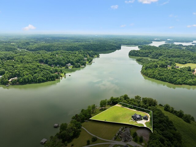 337 Lake Court Dr, Lynchburg, TN 37352 - aerial overview of property's location featuring a large body of water, a forest, and property parcel outlined