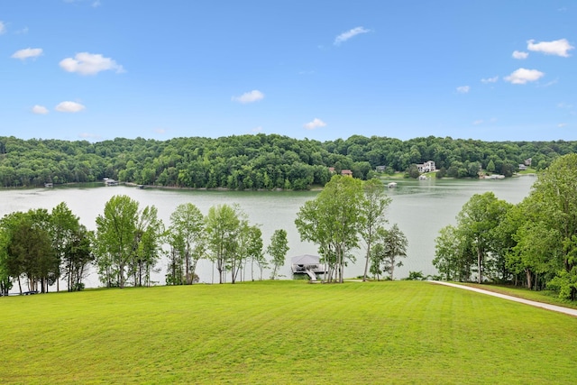 337 Lake Court Dr, Lynchburg, TN 37352 - water view featuring a heavily wooded area