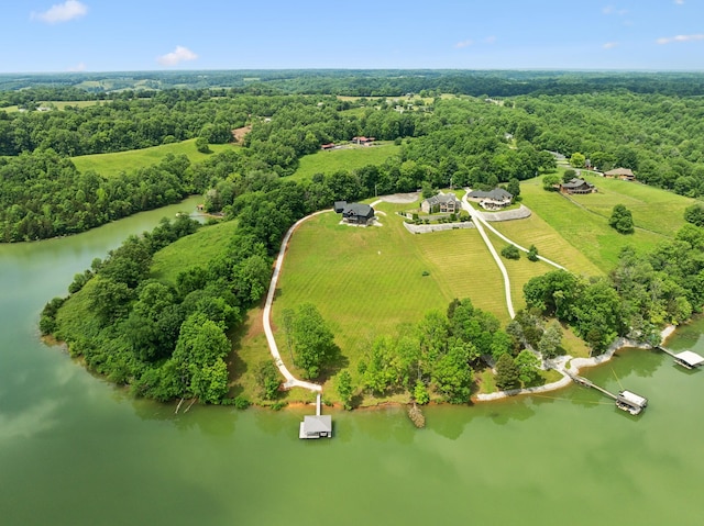 337 Lake Court Dr, Lynchburg, TN 37352 - aerial view of sparsely populated area featuring a large body of water and a heavily wooded area