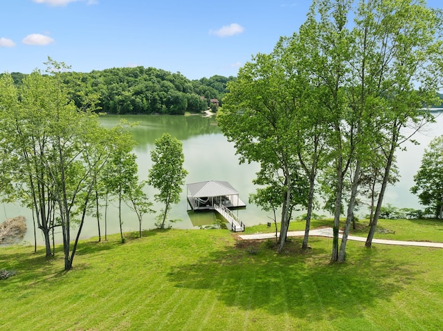 337 Lake Court Dr, Lynchburg, TN 37352 - water view with a boat dock