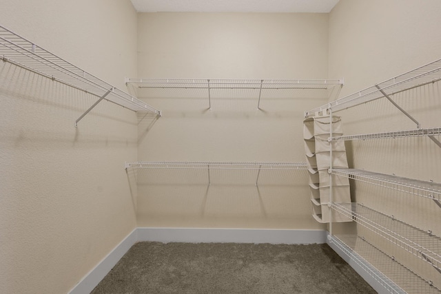 2600 Hillsboro Pike # 233, Nashville, TN 37212 - walk in closet with carpet