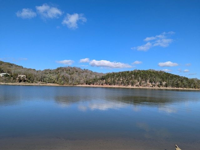 601 Riverfront Dr, Clifton, TN 38425