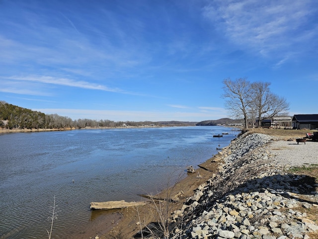 601 Riverfront Dr, Clifton, TN 38425
