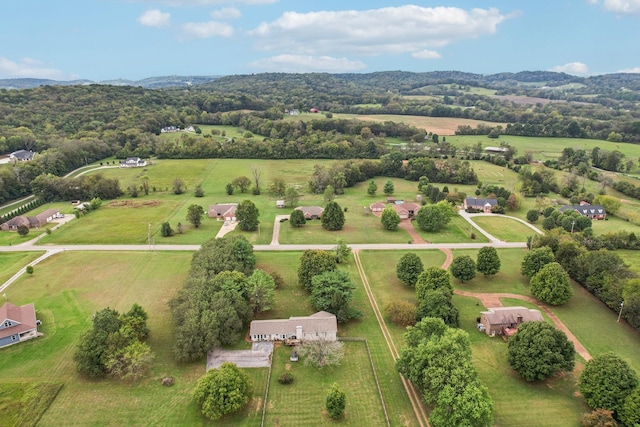 3411 Murphy Ln, Columbia, TN 38401 - view of rural area with agricultural land and a mountain backdrop
