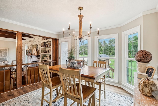 3411 Murphy Ln, Columbia, TN 38401 - dining space with a chandelier, light wood-style floors, plenty of natural light, and crown molding