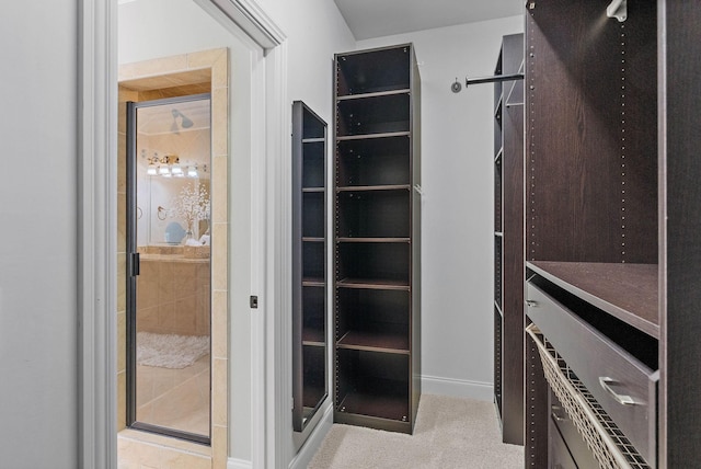 1005 Brittain Downs Dr, Nolensville, TN 37135 - walk in closet with carpet floors