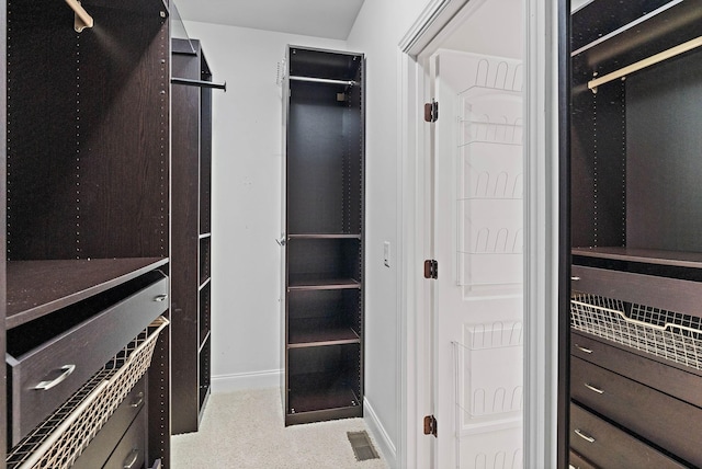 1005 Brittain Downs Dr, Nolensville, TN 37135 - view of spacious closet
