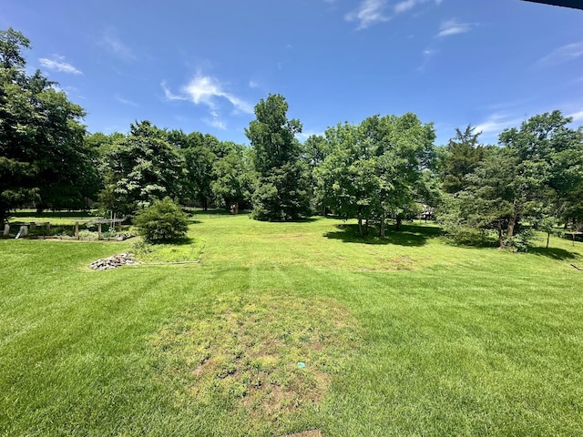 1005 Brittain Downs Dr, Nolensville, TN 37135 - view of grassy yard