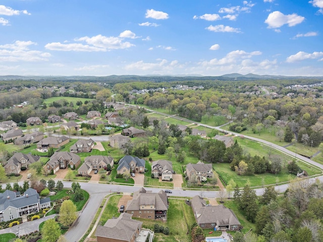 1005 Brittain Downs Dr, Nolensville, TN 37135 - aerial perspective of suburban area