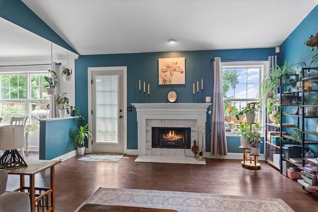 917 Lavergne Ln, La Vergne, TN 37086 - living room featuring healthy amount of natural light, a high end fireplace, wood finished floors, vaulted ceiling, and recessed lighting