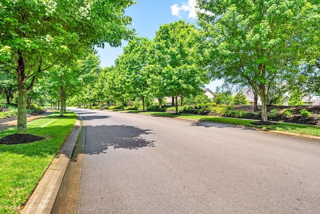 4115 Giacomo Dr, Murfreesboro, TN 37128 - view of asphalt road with curbs and sidewalks