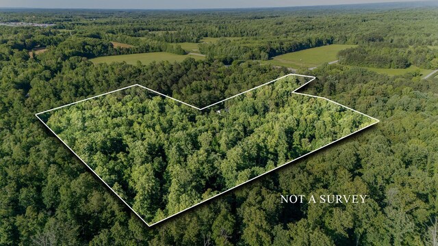 151 Spence Store Loop, Holladay, TN 38341 - photo 50