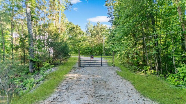 151 Spence Store Loop, Holladay, TN 38341 - photo 45