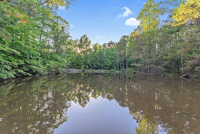 151 Spence Store Loop, Holladay, TN 38341 - photo 44