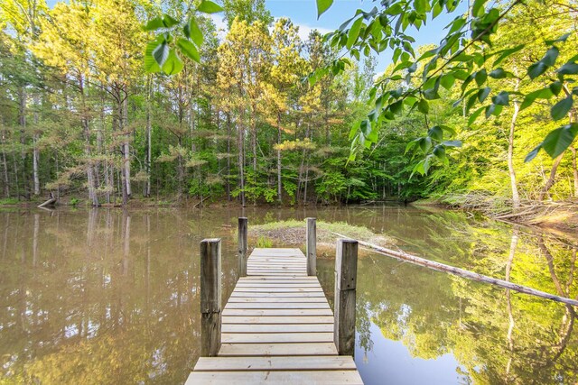 151 Spence Store Loop, Holladay, TN 38341 - photo 43