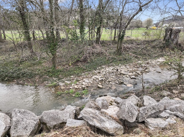 860 Old Woodbury Pike, Readyville, TN 37149 - view of nature
