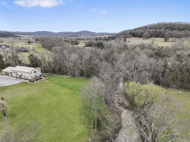 860 Old Woodbury Pike, Readyville, TN 37149 - view of mountain background featuring rural landscape