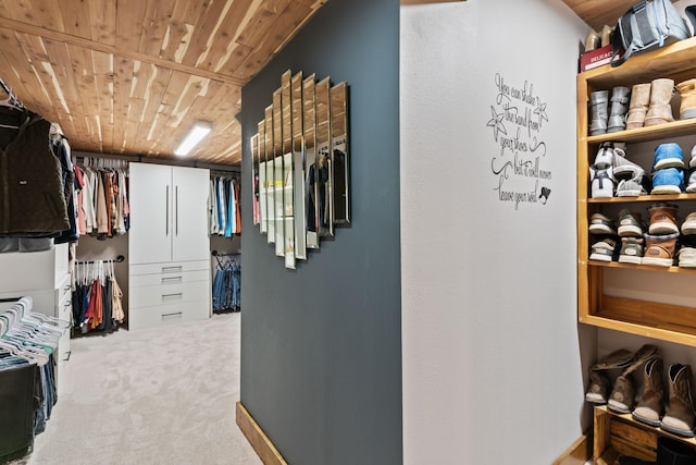 860 Old Woodbury Pike, Readyville, TN 37149 - spacious closet with carpet flooring