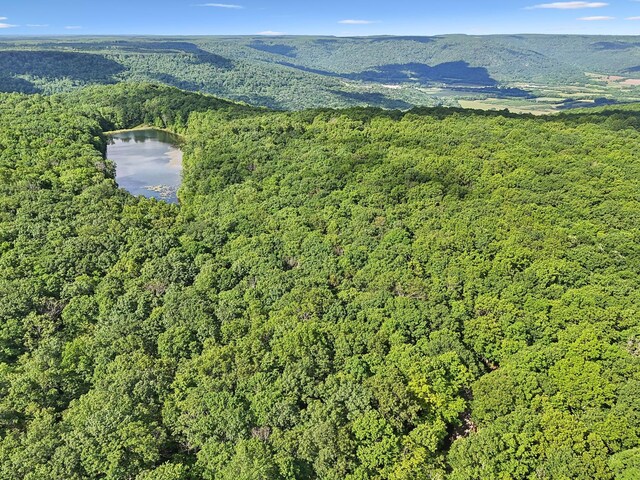 377 Valley View Dr, Altamont, TN 37301 - photo 34