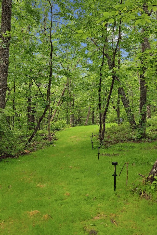 377 Valley View Dr, Altamont, TN 37301 - photo 28