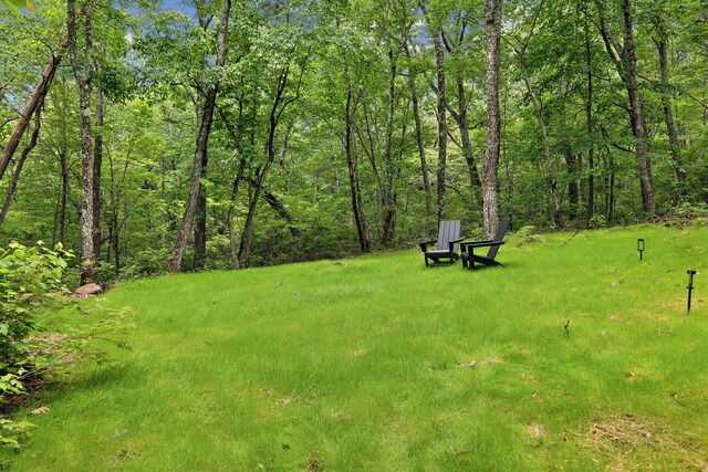 377 Valley View Dr, Altamont, TN 37301 - photo 29