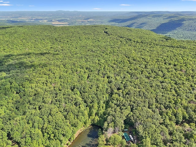 377 Valley View Dr, Altamont, TN 37301 - photo 39