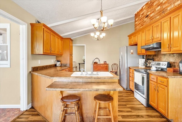 183 Prairie Plains Rd, Hillsboro, TN 37342 - kitchen featuring stainless steel appliances, under cabinet range hood, a sink, a textured ceiling, and lofted ceiling