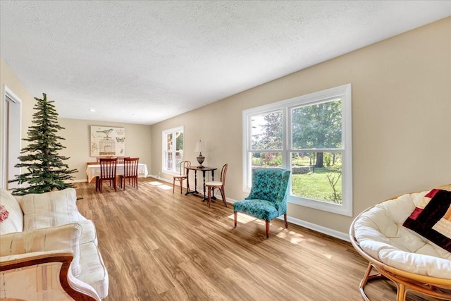 183 Prairie Plains Rd, Hillsboro, TN 37342 - living area featuring a textured ceiling, baseboards, and light wood finished floors