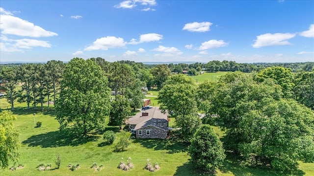 183 Prairie Plains Rd, Hillsboro, TN 37342 - drone / aerial view