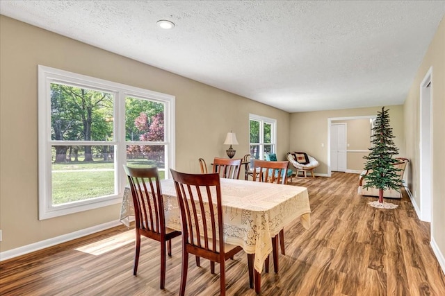 183 Prairie Plains Rd, Hillsboro, TN 37342 - dining area with wood finished floors, a textured ceiling, and baseboards