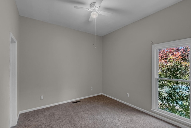 971 Bonnie Blue Ln, Columbia, TN 38401 - photo 27