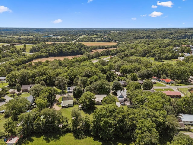 123 Columbia Ave, Centerville, TN 37033 - aerial view of a forest
