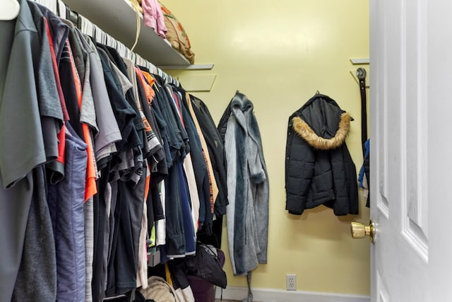4357 Old Blacktop Rd, Mc Ewen, TN 37101 - view of walk in closet