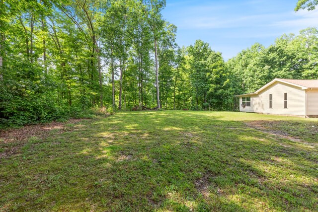 4357 Old Blacktop Rd, Mc Ewen, TN 37101 - view of green lawn
