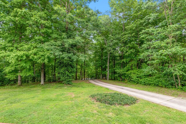 4357 Old Blacktop Rd, Mc Ewen, TN 37101 - view of road with a view of trees