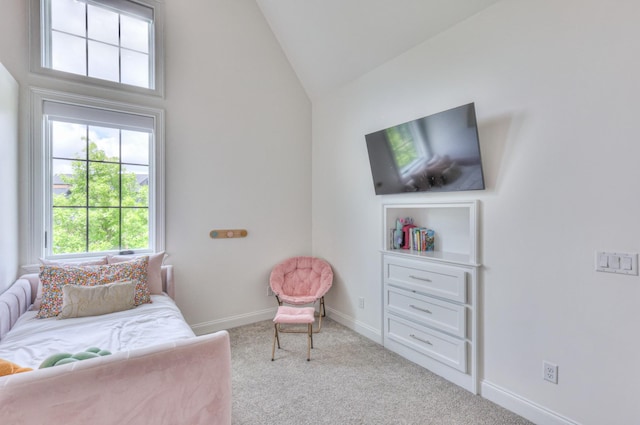 1021 Julian Way, Murfreesboro, TN 37128 - carpeted bedroom with lofted ceiling and baseboards