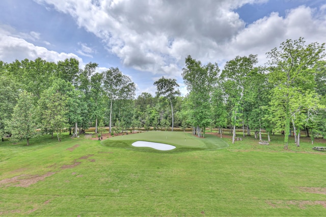 1021 Julian Way, Murfreesboro, TN 37128 - view of grassy yard featuring view of scattered trees, an area to practice putting, and golf course view