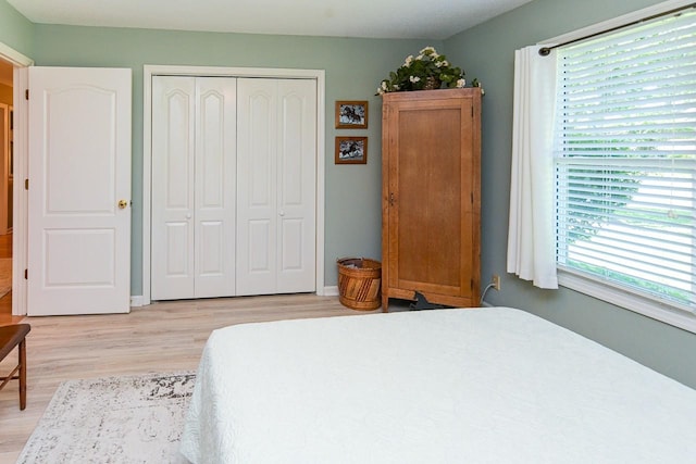 1130 Horse Mountain Rd Unit E, Shelbyville, TN 37160 - bedroom featuring light wood finished floors and a closet