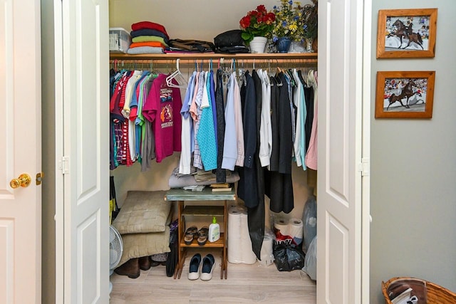 1130 Horse Mountain Rd Unit E, Shelbyville, TN 37160 - view of closet