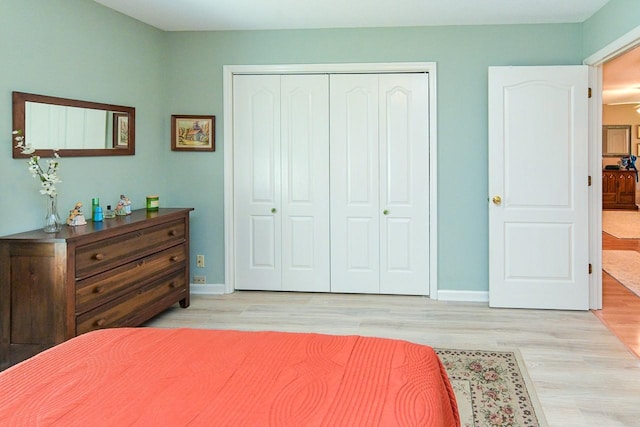 1130 Horse Mountain Rd Unit E, Shelbyville, TN 37160 - bedroom with a closet, light wood-style floors, and baseboards