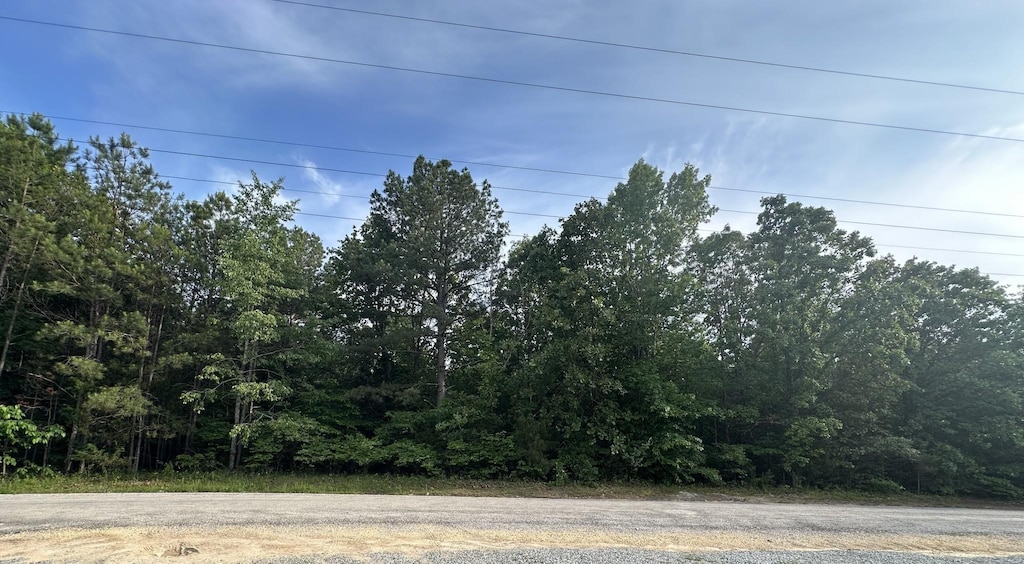 0 Hankins Ln, Hohenwald, TN 38462