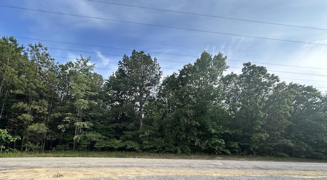 0 Hankins Ln, Hohenwald, TN 38462