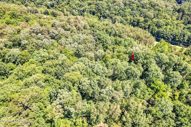 5 Amis Way, Sevierville, TN 37876