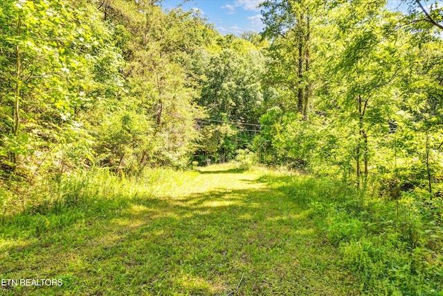 5 Amis Way, Sevierville, TN 37876