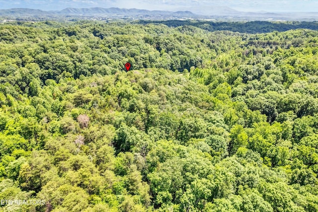 5 Amis Way, Sevierville, TN 37876