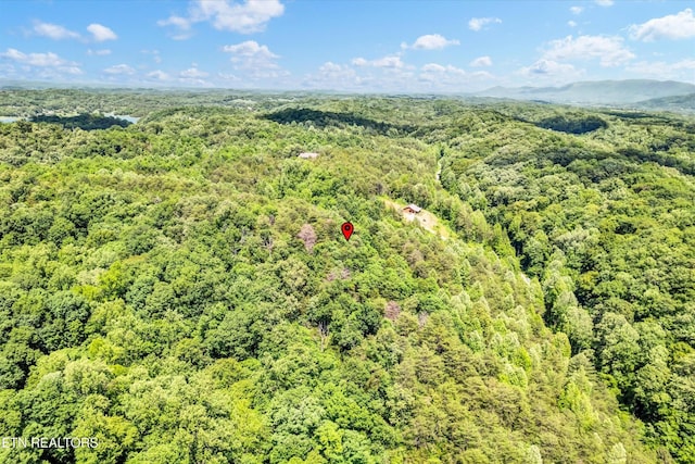 5 Amis Way, Sevierville, TN 37876