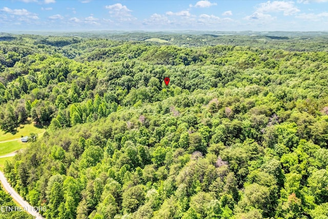 5 Amis Way, Sevierville, TN 37876