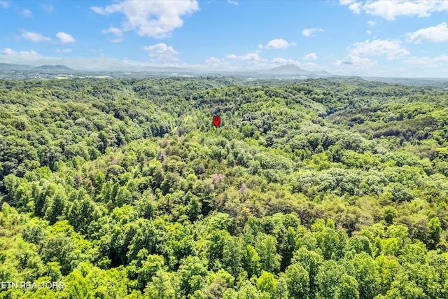 5 Amis Way, Sevierville, TN 37876