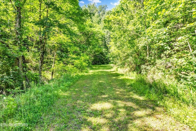 5 Amis Way, Sevierville, TN 37876